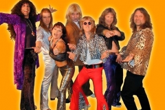 Major Healey 70s Cover Band