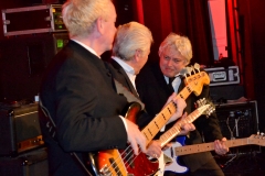 Rock gegen Krebs 2015 by Claus Perner (45)