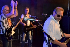 Rock gegen Krebs 2015 by Claus Perner (70)